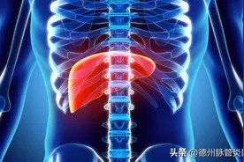 中药对五脏六腑的倾向，五脏六腑给中药的偏爱。脏腑用药大全！图片