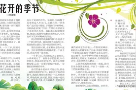 胡豆花开的季节图片