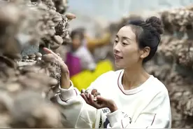 从跑山女网红到当地政协委员，她如何在五年内助农卖出千万山货？图片