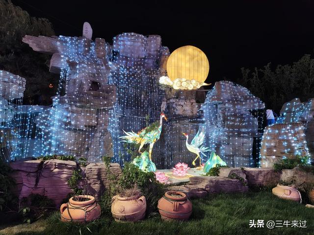 无为在歧路，淄博花灯齐彩城免票