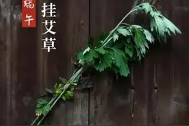 今年端午节逢“凶日”，艾草要注意这三不挂，挂错容易遭灾祸！图片