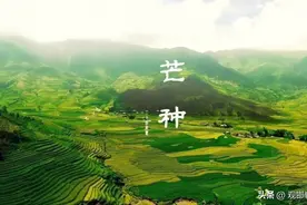 【明仁与健康】夏季养生，从吃“苦”开始图片