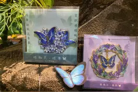 黑龙江省博文创再上新！“蝶舞”“蝶韵”化身冰箱贴图片