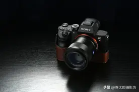 买相机选索尼还是选佳能？看完这篇文章也许就不再迷茫了图片