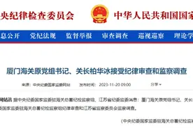 厅官柏华冰落马！海关系统反腐再下一城图片