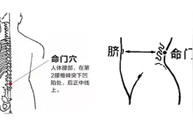 一个穴位，轻松缓解腰腿痛！每日一按，通阳止痛图片