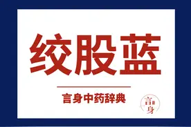 绞股蓝（补气药）图片