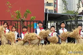 东港娃！收麦忙！图片