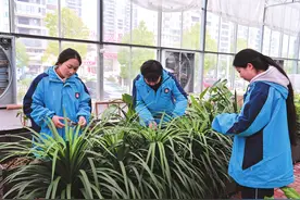 校园花香四溢，平江职校师生共筑花园式学府图片