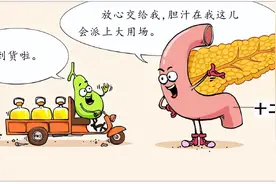 【漫绘科普】当你吃饭时，胆囊和胰腺在干什么？图片