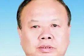 河北原政坛风云人物王雪峰被查：权力之路的警示与反思图片