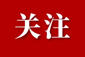 乘公交出行 赏流动风景 年轻人爱上城市打卡新方式图片
