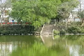 海南7大最美中国传统村落，海岛古韵秀色芬芳图片
