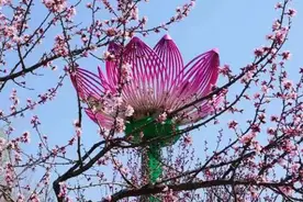 珲春：桃花春色暖先开 明媚谁人不看来图片