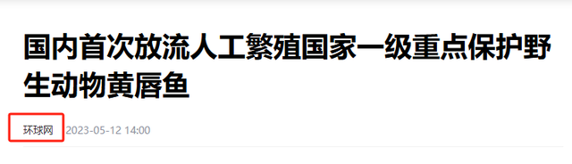 敏鱼胶一斤多少钱 2026年鱼胶价格一斤多少钱