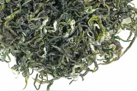 每日认识一款茶——碧螺春图片