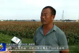 “汾享杏福”激活力 乡村振兴添动能图片