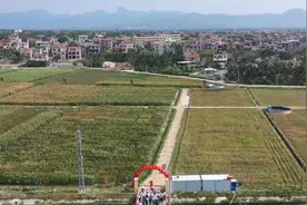 榆林南繁育种基地在海南省乐东县揭牌图片