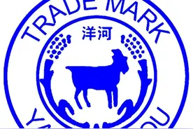 国际名酒：洋河酒。都有什么系列？图片