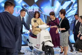 格力否认推出999元电动车，此前董明珠曾称“你要我就能给”图片