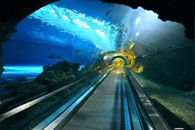 烟大海底隧道和琼州海峡跨海通道应该先修哪一个，哪个更重要图片