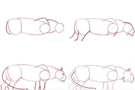 20种动物的简笔画教程，有手就能画图片