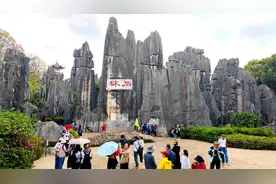 东北人知足吧，南方归来太感慨：南方哪哪都好，东北哪哪更好！图片