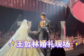 王哲林甜蜜婚礼，爱情与篮球的完美结合图片