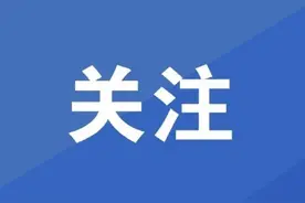 转发收藏！商洛各县区客运站2025年春节班次发布图片