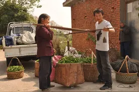 上门女婿（小说）图片