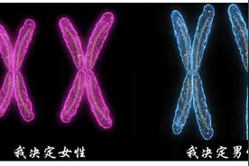 山城女子因身体特殊构造，“既当爸又当妈”，网友直言：人生赢家图片