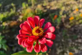 教师职称从一级晋升到副高级，工资能加多少？图片