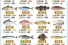 常见的20种海鱼图鉴，营养价值图鉴，食用指南图片