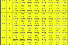 2024年属相、年龄对照表，收藏起来看看，你多少岁了图片