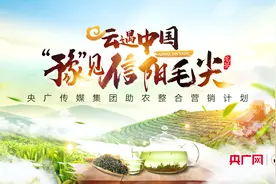 今日谷雨，一起上春山，品春茶吧！2024年《云遇中国“豫”见信阳毛尖》活动正式开启图片
