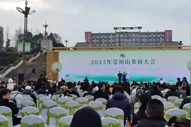 一叶载古今 “三茶”融万象 | 2025年蒙顶山茶商大会在雅安盛大举行图片