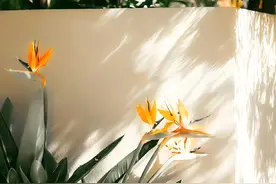 敷衍失望的扎心短句图片