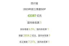太疯狂了，四川vs湖北，增量实际增速都不抵四川，差距越来越大！图片