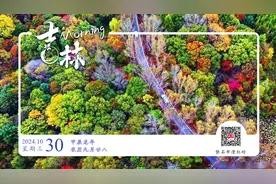 每日一吉｜10月30日图片