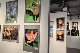 来这个展，看手机镜头下“不一样的世界”图片