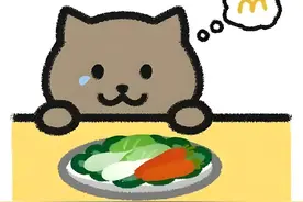 国服梦奇-胖猫虐我，《穿过月亮的旅行》感动我！人生百态！图片
