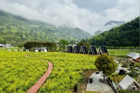 湖北省恩施市：绘就绿水青山振兴图图片