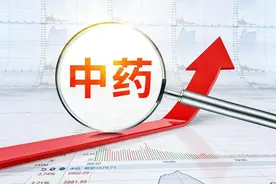 中药股龙头股一览表 中药板块个股业绩排行榜图片