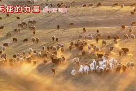 《天使的力量》宋中清词曲图片