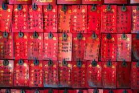 胎盘埋起来是迷信的说法吗？图片