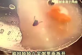 闹大了！娃哈哈八宝粥里吃出苍蝇，网友坐不住了瞬间扒出爆料者图片