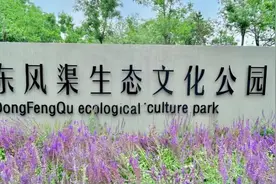 浪漫满园！郑州专属“莫奈花园”盛放图片