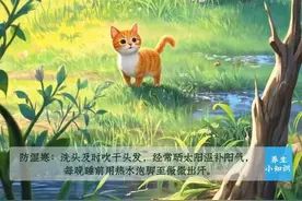 雨水丨健脾祛湿疏肝 用好两道菜两款茶图片