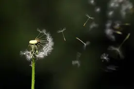 地理冷知识——风图片