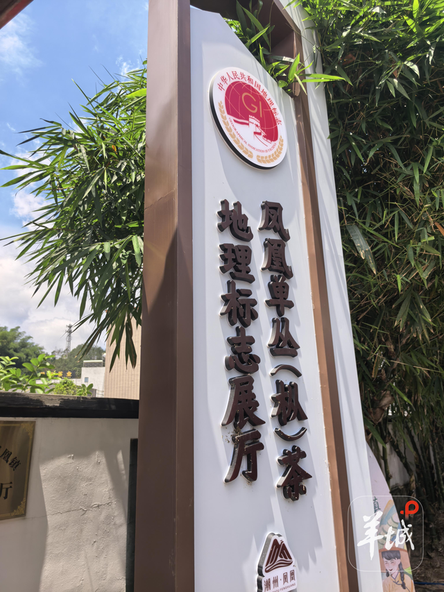 当工夫遇见共情：“阿嬷效应”背后的广东文旅启示录 | 文旅开麦